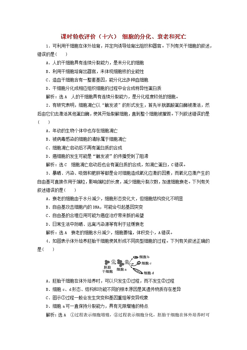 新课标2023版高考生物一轮总复习课时验收评价十六细胞的分化衰老和死亡 试卷01
