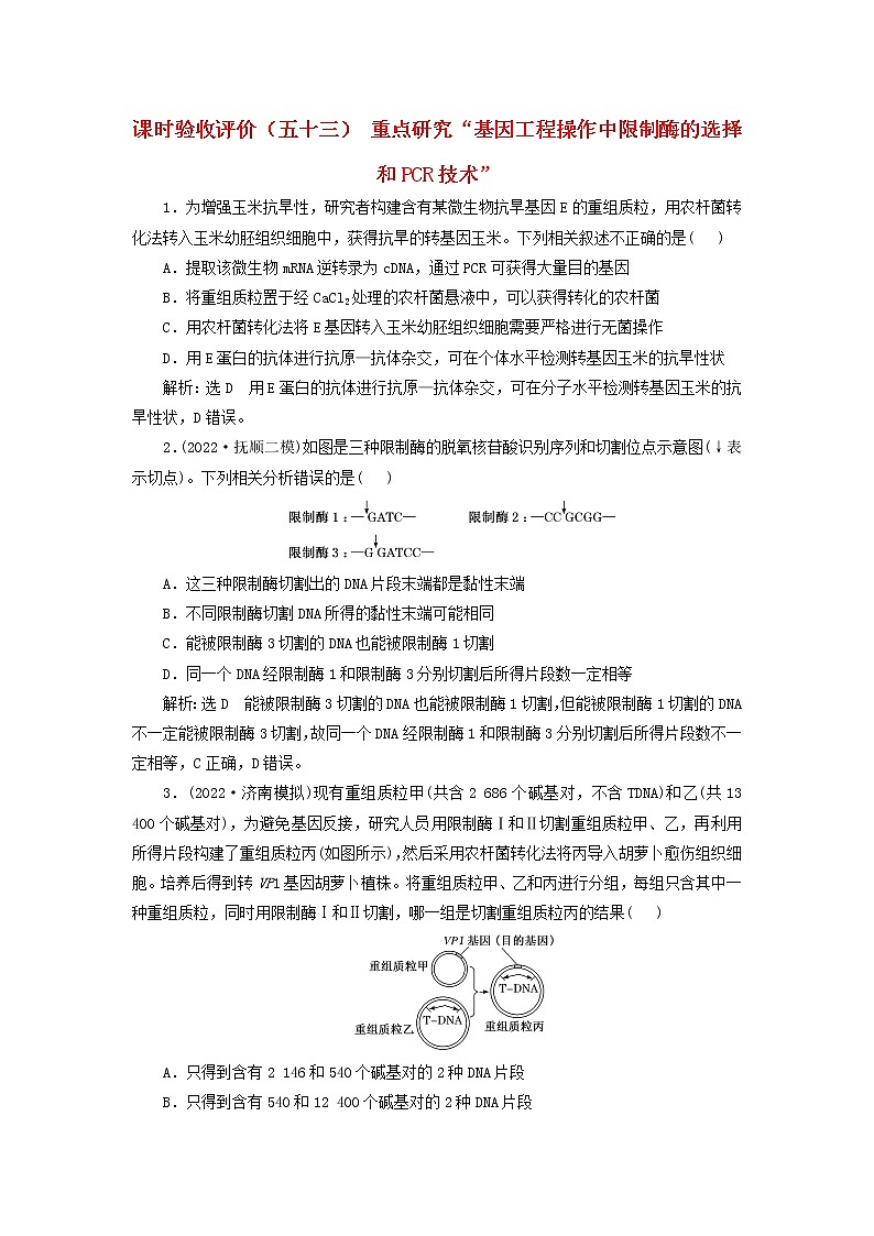 新课标2023版高考生物一轮总复习课时验收评价五十三重点研究“基因工程操作中限制酶的选择和PCR技术”第1页