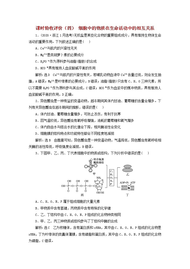 新课标2023版高考生物一轮总复习课时验收评价四细胞中的物质在生命活动中的相互关系第1页