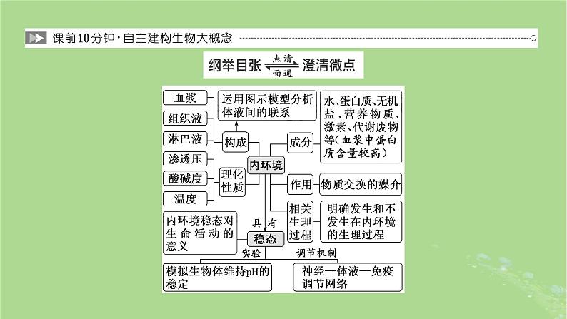 新课标2023版高考生物一轮总复习第八单元动物生命活动的调节第1讲人体的内环境与稳态课件第3页