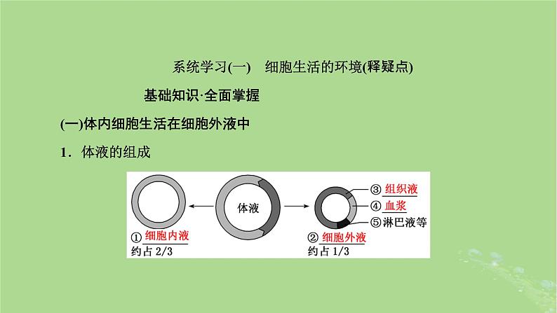 新课标2023版高考生物一轮总复习第八单元动物生命活动的调节第1讲人体的内环境与稳态课件第5页