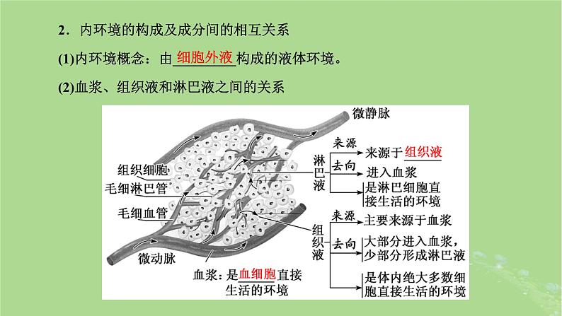 新课标2023版高考生物一轮总复习第八单元动物生命活动的调节第1讲人体的内环境与稳态课件第6页