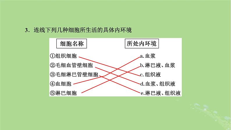 新课标2023版高考生物一轮总复习第八单元动物生命活动的调节第1讲人体的内环境与稳态课件第7页