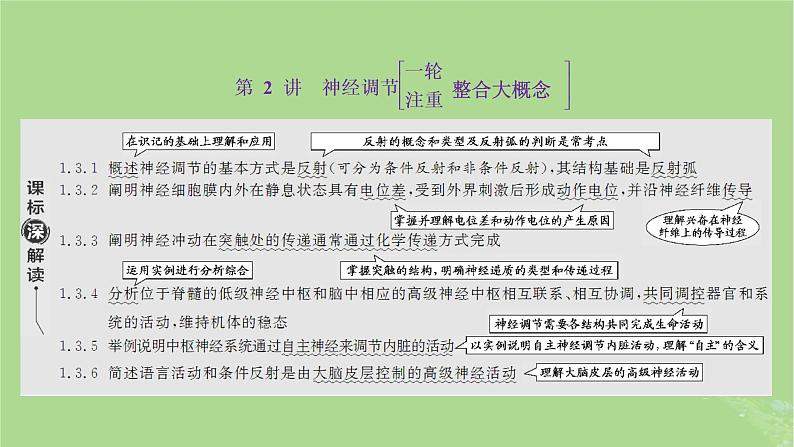 新课标2023版高考生物一轮总复习第八单元动物生命活动的调节第2讲神经调节课件第1页