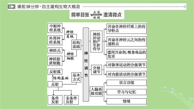 新课标2023版高考生物一轮总复习第八单元动物生命活动的调节第2讲神经调节课件第2页