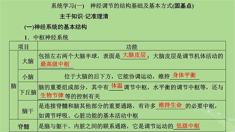 新课标2023版高考生物一轮总复习第八单元动物生命活动的调节第2讲神经调节课件第4页