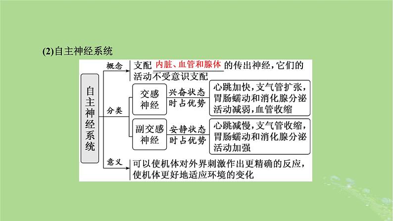 新课标2023版高考生物一轮总复习第八单元动物生命活动的调节第2讲神经调节课件第6页