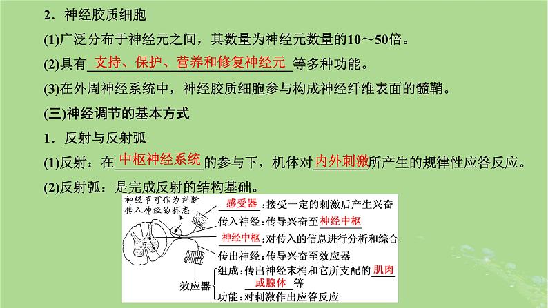 新课标2023版高考生物一轮总复习第八单元动物生命活动的调节第2讲神经调节课件第8页