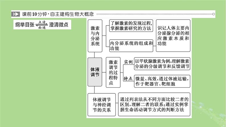 新课标2023版高考生物一轮总复习第八单元动物生命活动的调节第3讲体液调节课件第2页