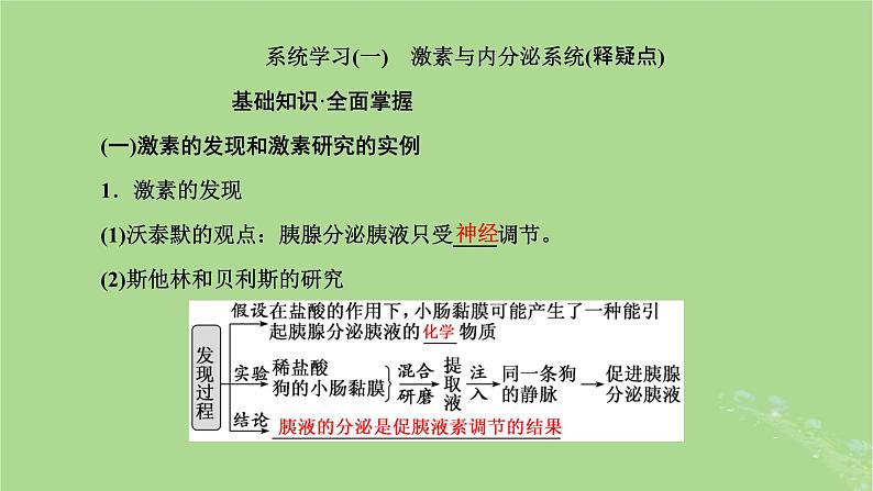 新课标2023版高考生物一轮总复习第八单元动物生命活动的调节第3讲体液调节课件第4页