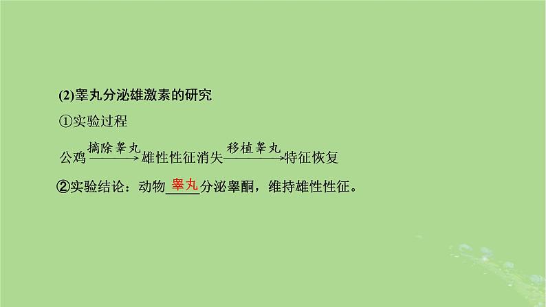 新课标2023版高考生物一轮总复习第八单元动物生命活动的调节第3讲体液调节课件第6页