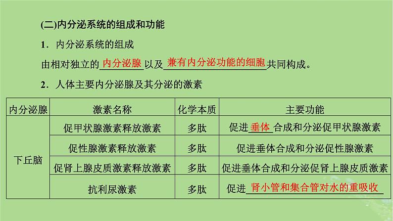 新课标2023版高考生物一轮总复习第八单元动物生命活动的调节第3讲体液调节课件第7页