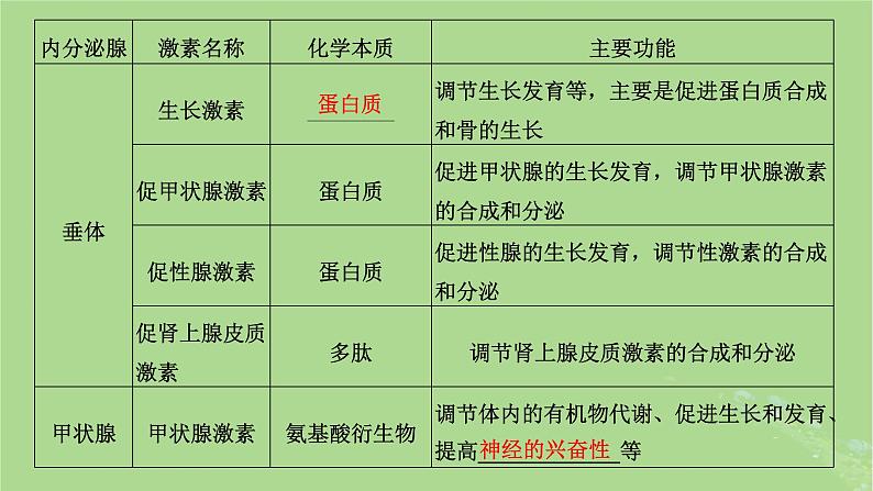 新课标2023版高考生物一轮总复习第八单元动物生命活动的调节第3讲体液调节课件第8页