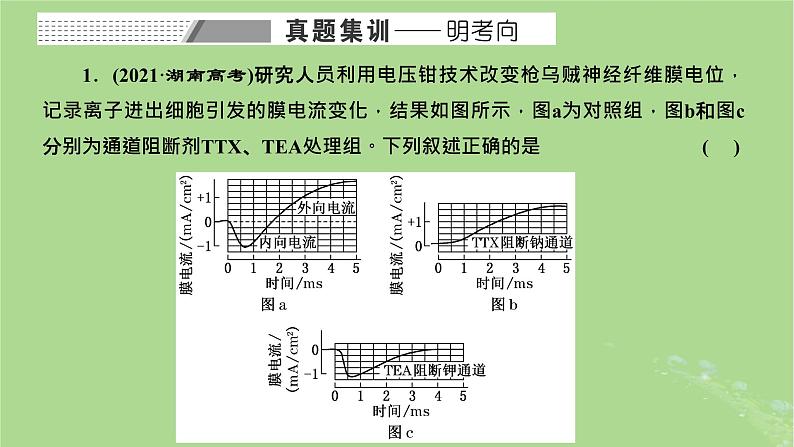 新课标2023版高考生物一轮总复习第八单元动物生命活动的调节第5讲神经调节中膜电位变化分析与相关实验探究课件02