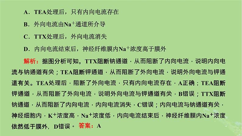 新课标2023版高考生物一轮总复习第八单元动物生命活动的调节第5讲神经调节中膜电位变化分析与相关实验探究课件03