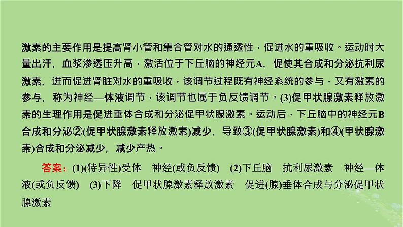 新课标2023版高考生物一轮总复习第八单元动物生命活动的调节第6讲神经_体液_免疫调节模型的构建与生命活动调节方式的判断课件05