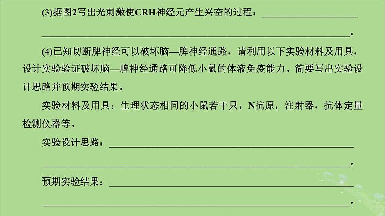 新课标2023版高考生物一轮总复习第八单元动物生命活动的调节第6讲神经_体液_免疫调节模型的构建与生命活动调节方式的判断课件07