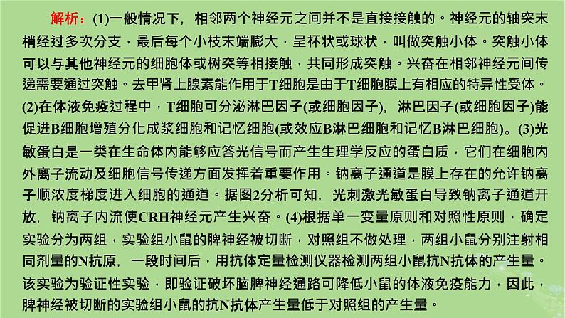 新课标2023版高考生物一轮总复习第八单元动物生命活动的调节第6讲神经_体液_免疫调节模型的构建与生命活动调节方式的判断课件08