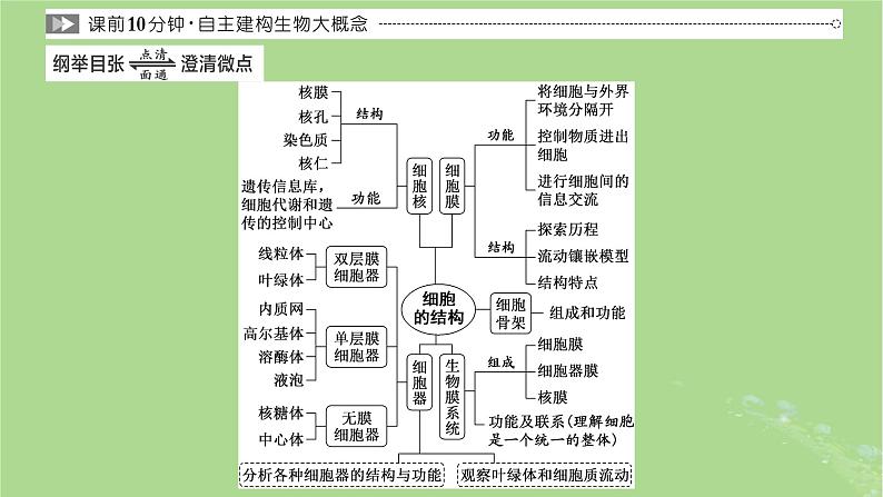 新课标2023版高考生物一轮总复习第二单元细胞的基本结构与物质的输入和输出第1讲细胞的基本结构课件第2页