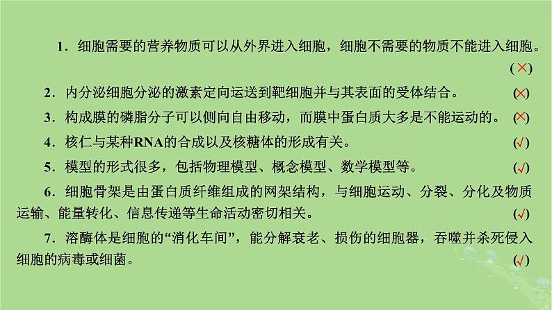 新课标2023版高考生物一轮总复习第二单元细胞的基本结构与物质的输入和输出第1讲细胞的基本结构课件第3页