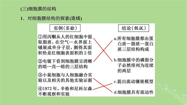 新课标2023版高考生物一轮总复习第二单元细胞的基本结构与物质的输入和输出第1讲细胞的基本结构课件第7页