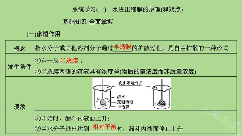 新课标2023版高考生物一轮总复习第二单元细胞的基本结构与物质的输入和输出第2讲细胞的物质输入和输出课件03