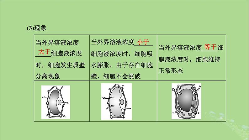 新课标2023版高考生物一轮总复习第二单元细胞的基本结构与物质的输入和输出第2讲细胞的物质输入和输出课件06