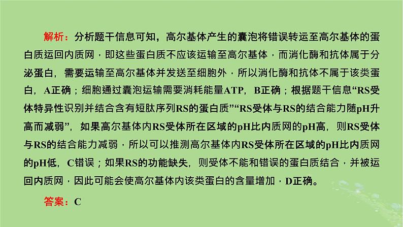 新课标2023版高考生物一轮总复习第二单元细胞的基本结构与物质的输入和输出第3讲细胞结构之间的分工与合作课件第3页