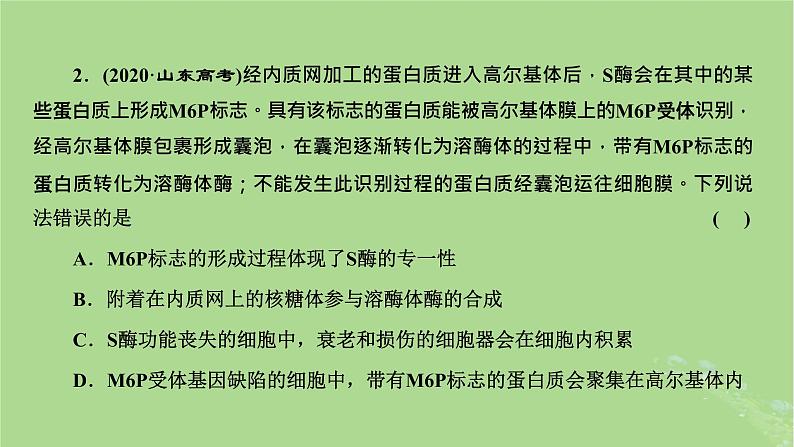 新课标2023版高考生物一轮总复习第二单元细胞的基本结构与物质的输入和输出第3讲细胞结构之间的分工与合作课件第4页