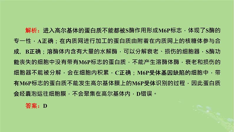 新课标2023版高考生物一轮总复习第二单元细胞的基本结构与物质的输入和输出第3讲细胞结构之间的分工与合作课件第5页