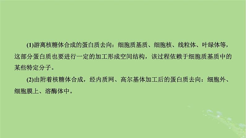 新课标2023版高考生物一轮总复习第二单元细胞的基本结构与物质的输入和输出第3讲细胞结构之间的分工与合作课件第7页