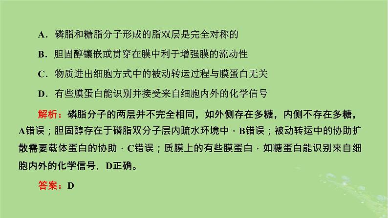 新课标2023版高考生物一轮总复习第二单元细胞的基本结构与物质的输入和输出第4讲从结构与功能观的角度分析生物膜的功能课件第2页