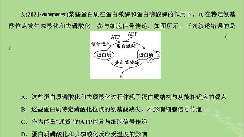 新课标2023版高考生物一轮总复习第二单元细胞的基本结构与物质的输入和输出第4讲从结构与功能观的角度分析生物膜的功能课件第3页