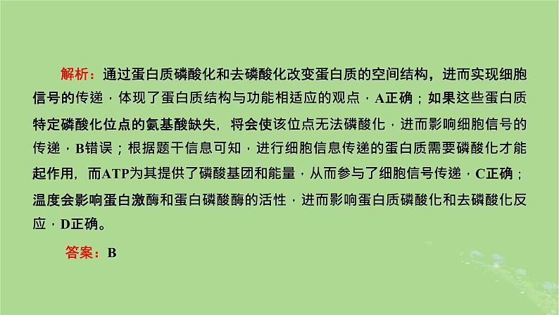 新课标2023版高考生物一轮总复习第二单元细胞的基本结构与物质的输入和输出第4讲从结构与功能观的角度分析生物膜的功能课件第4页