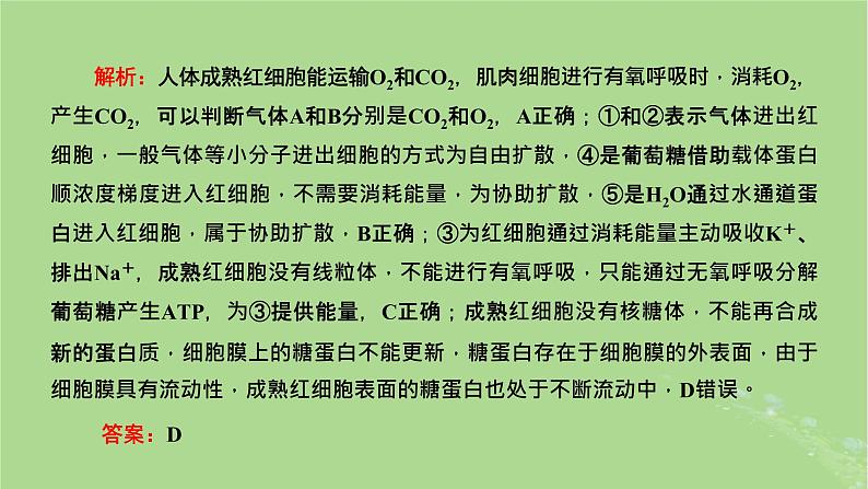 新课标2023版高考生物一轮总复习第二单元细胞的基本结构与物质的输入和输出第4讲从结构与功能观的角度分析生物膜的功能课件第6页