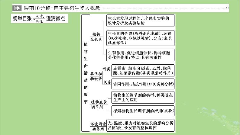 新课标2023版高考生物一轮总复习第九单元植物生命活动的调节第1讲全面落实“植物生命活动调节”的主干知识课件03