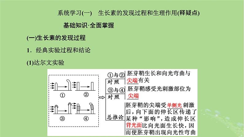 新课标2023版高考生物一轮总复习第九单元植物生命活动的调节第1讲全面落实“植物生命活动调节”的主干知识课件06