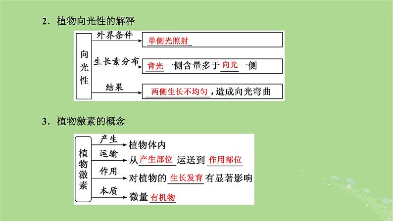 新课标2023版高考生物一轮总复习第九单元植物生命活动的调节第1讲全面落实“植物生命活动调节”的主干知识课件08