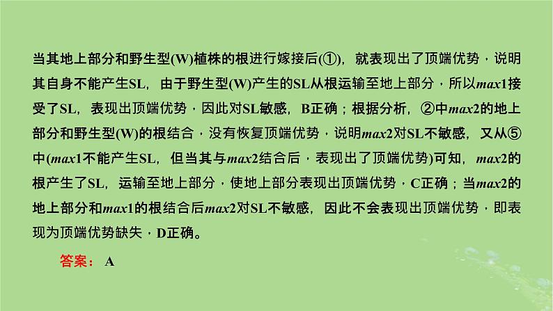 新课标2023版高考生物一轮总复习第九单元植物生命活动的调节第2讲重点研究“植物激素调节的相关实验探究”课件04