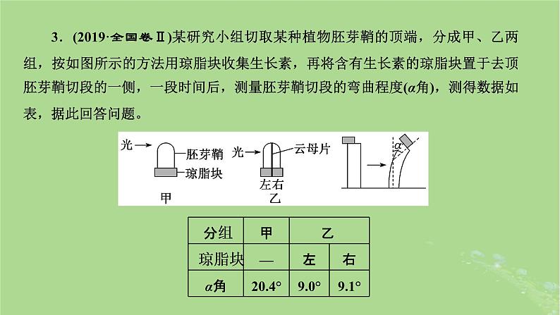 新课标2023版高考生物一轮总复习第九单元植物生命活动的调节第2讲重点研究“植物激素调节的相关实验探究”课件07