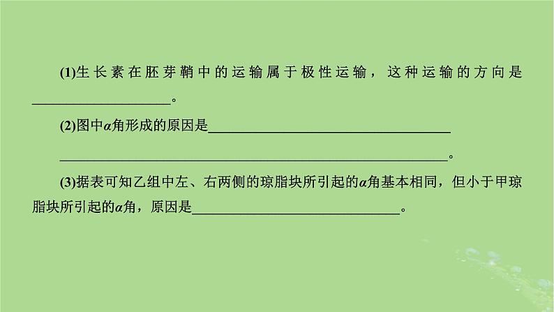 新课标2023版高考生物一轮总复习第九单元植物生命活动的调节第2讲重点研究“植物激素调节的相关实验探究”课件08