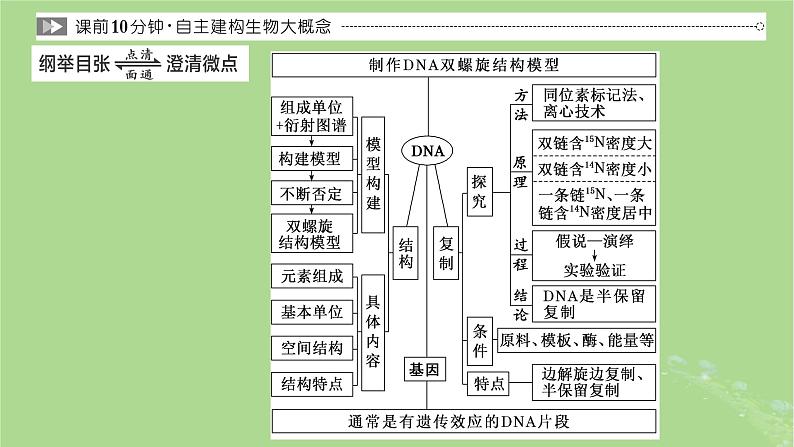 新课标2023版高考生物一轮总复习第六单元基因的本质和表达第2讲DNA的结构复制和基因的概念课件02