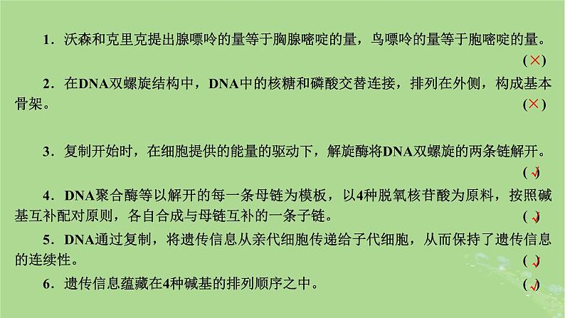 新课标2023版高考生物一轮总复习第六单元基因的本质和表达第2讲DNA的结构复制和基因的概念课件03