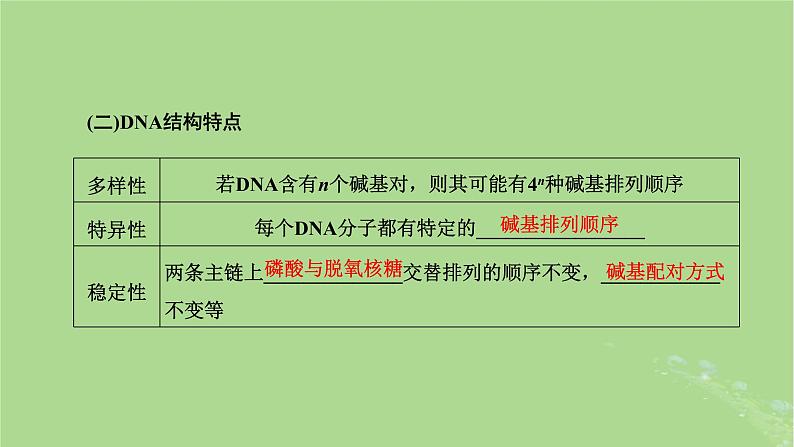 新课标2023版高考生物一轮总复习第六单元基因的本质和表达第2讲DNA的结构复制和基因的概念课件06