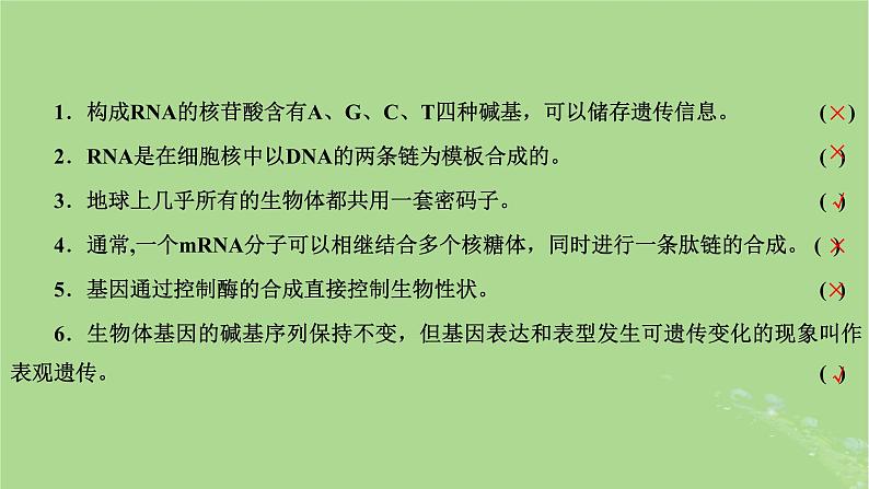 新课标2023版高考生物一轮总复习第六单元基因的本质和表达第3讲基因的表达课件第3页