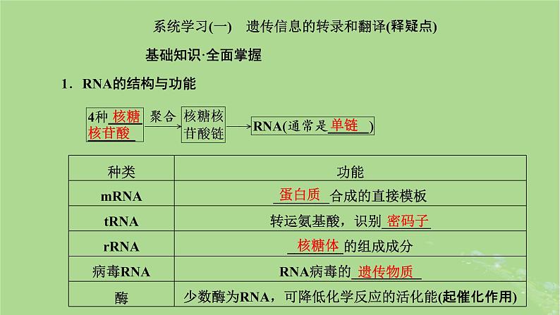 新课标2023版高考生物一轮总复习第六单元基因的本质和表达第3讲基因的表达课件第4页