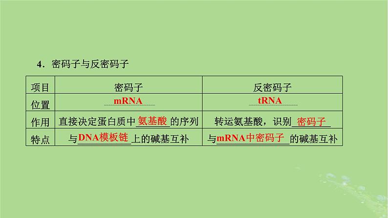 新课标2023版高考生物一轮总复习第六单元基因的本质和表达第3讲基因的表达课件第7页