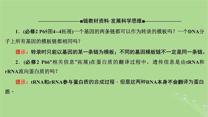 新课标2023版高考生物一轮总复习第六单元基因的本质和表达第3讲基因的表达课件第8页