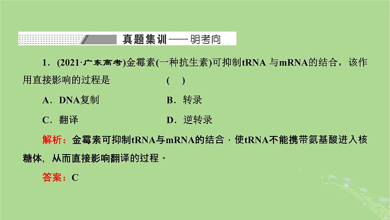 新课标2023版高考生物一轮总复习第六单元基因的本质和表达第5讲从生命信息观的角度理解中心法则课件第2页