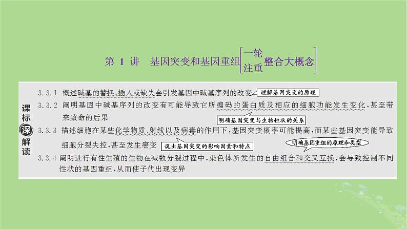 新课标2023版高考生物一轮总复习第七单元生物的变异与进化第1讲基因突变和基因重组课件第2页